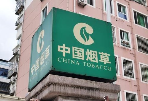 新疆煙草局校招開啟 擴(kuò)招名額，高中起點(diǎn)，專業(yè)不限，軟件開發(fā)崗位吸引貴州學(xué)子